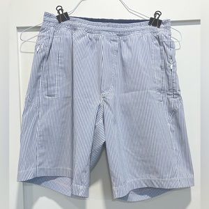 Birddogs shorts, blue/white oxford stripes, size medium (long)